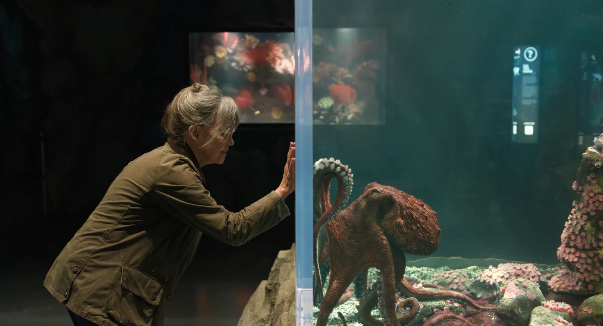 A Fairytale Transition: How ‘Remarkably Bright Creatures’ Conquered the Streaming World