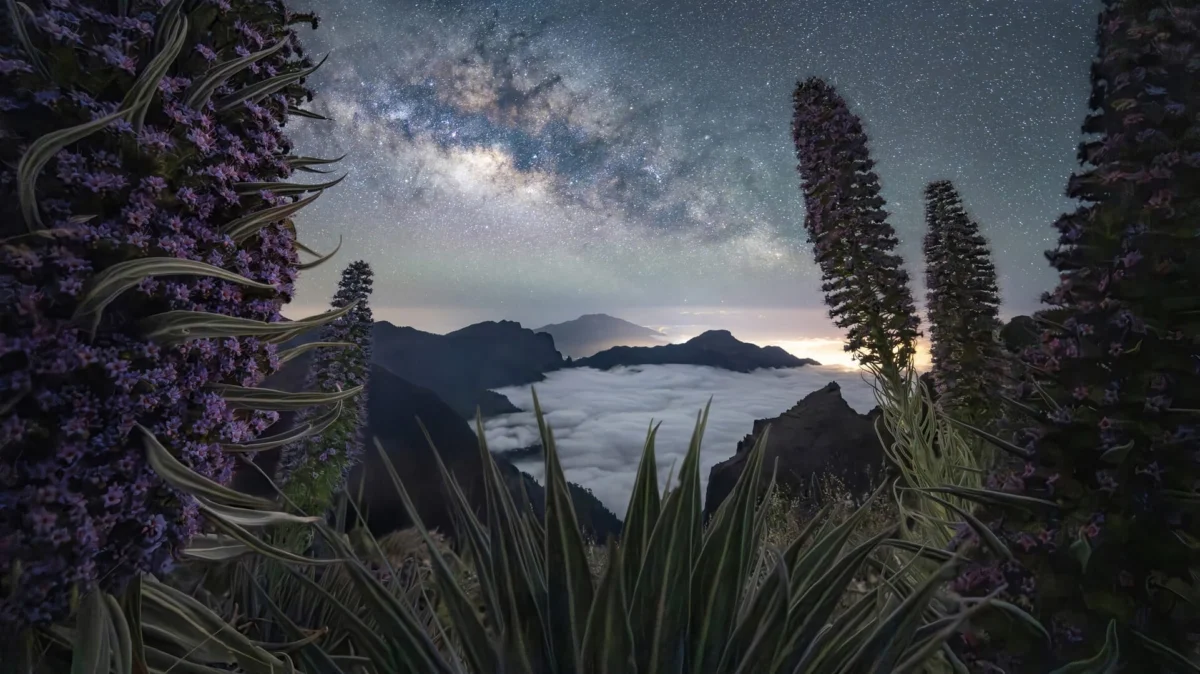 Beyond the Horizon: The 2026 Milky Way Photographer of the Year Reveals Our Vanishing Night Skies