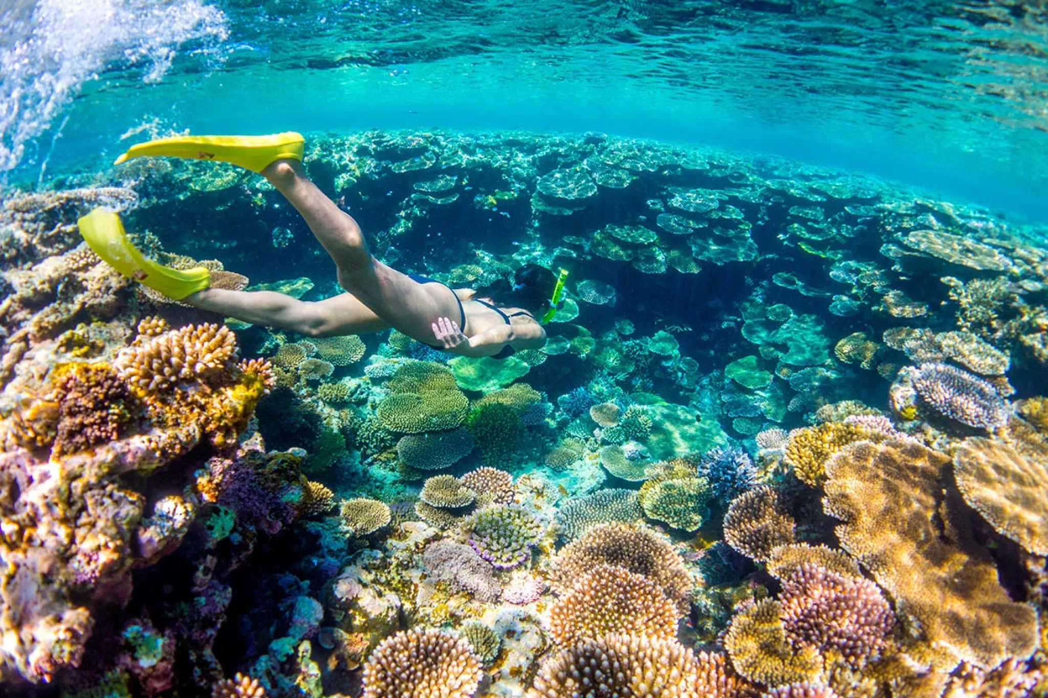 Beyond the Neon: The Unseen Sovereignty and Tropical Rhythm of Okinawa