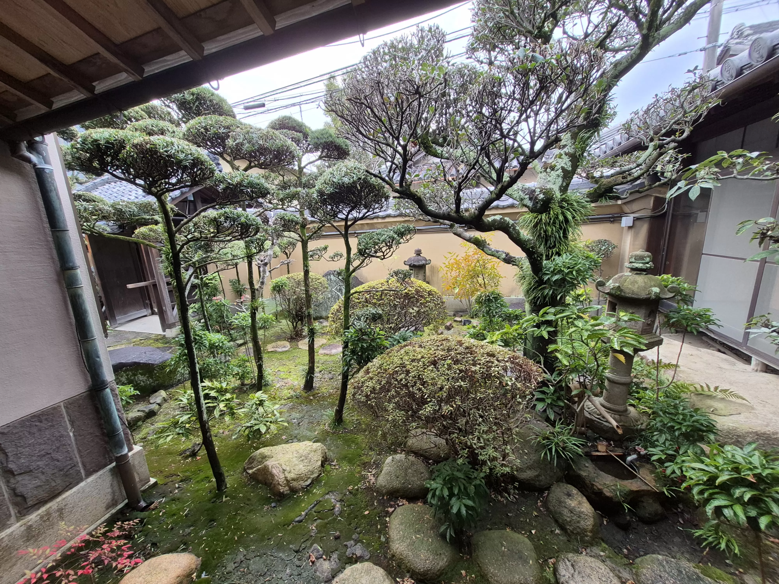 Brewing History: Inside a 300-Year-Old Sake Legacy Near Osaka