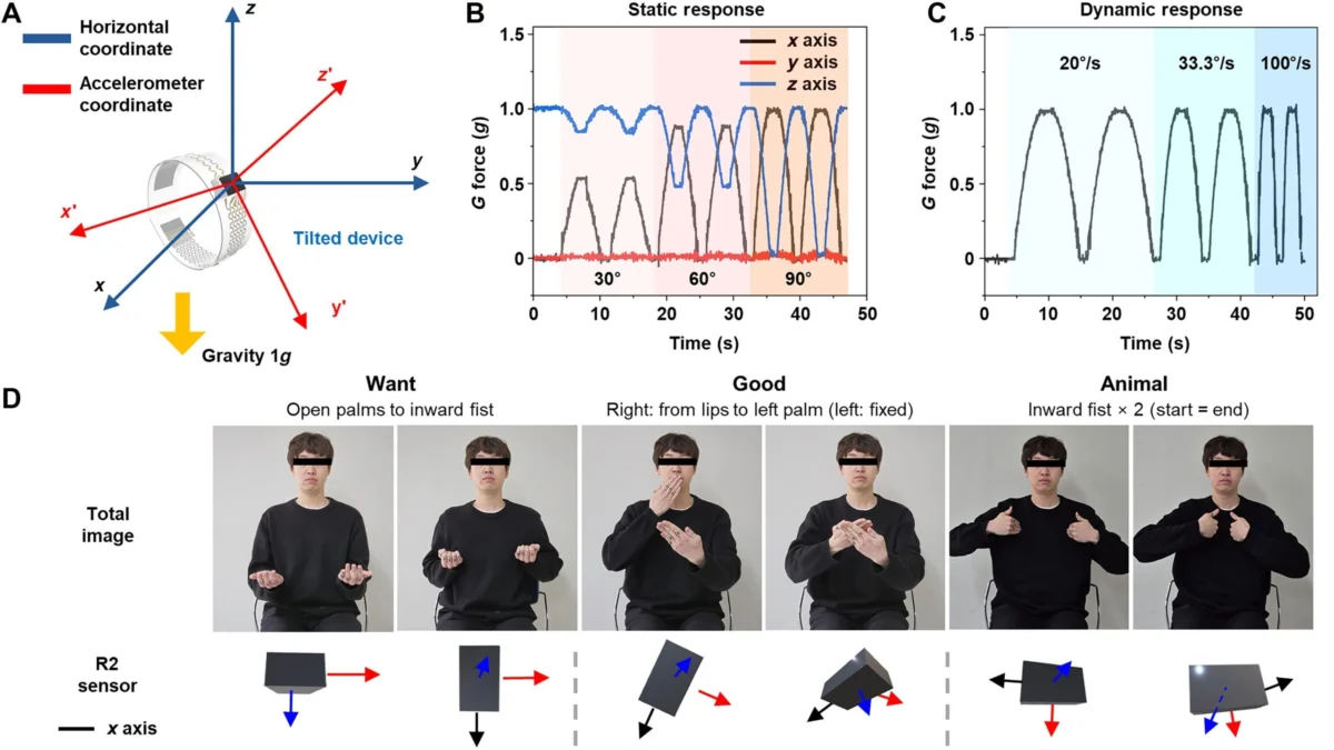 Bridging the Silent Divide: How New Smart Ring Technology is Revolutionizing Sign Language Translation