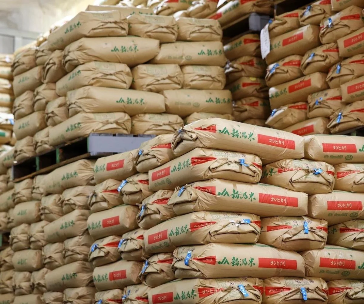 Japan’s Staple at a Crossroads: Rice Consumption Hits Seven-Year Low Amid Price Volatility
