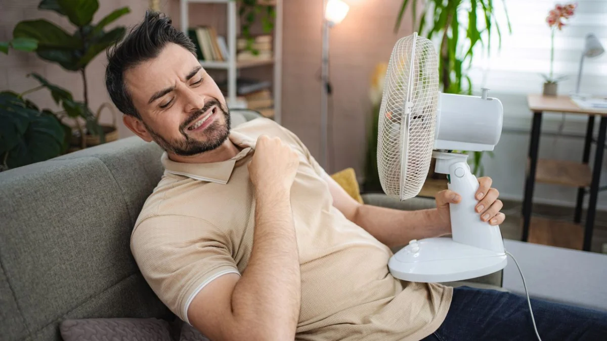 Mastering Your Indoor Climate: The Science and Strategy of Effective Fan Usage