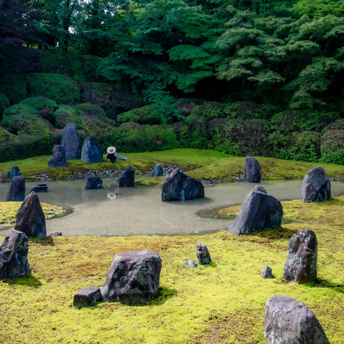 Sonic Zen: How "The Wave" is Redefining the Kyoto Temple Experience