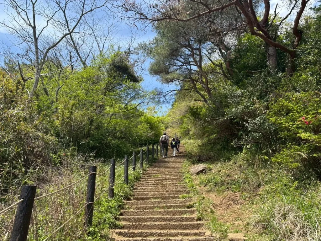 The Accessible Peak: A Comprehensive Guide to Conquering Mt. Tsukuba