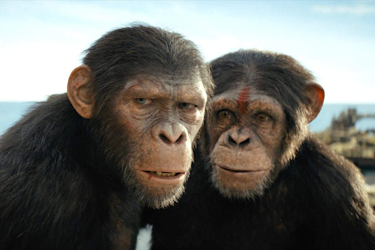 The Apes Ascendant: Matt Shakman Tapped to Lead Next Chapter of Iconic Franchise