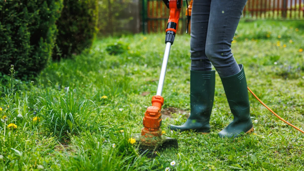 The Endurance of Your Landscape: Understanding and Extending the Lifespan of Your Weed Eater