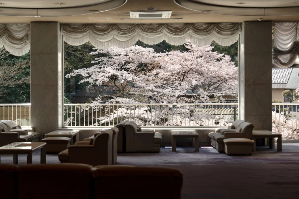 The Ethereal Bloom: A Journey Through Arima Onsen’s Sakura Season at Gekkoen