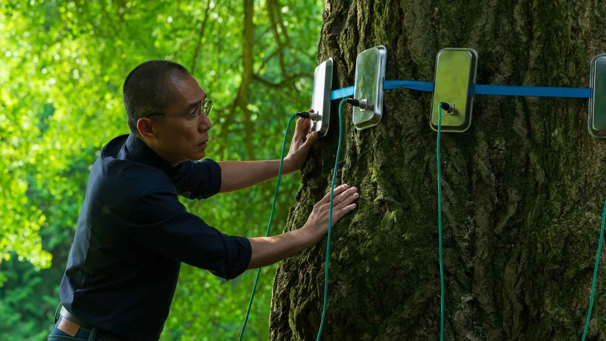 The Great Escapism: Why Our Culture is Turning to Woods, Bogs, and Dungeons