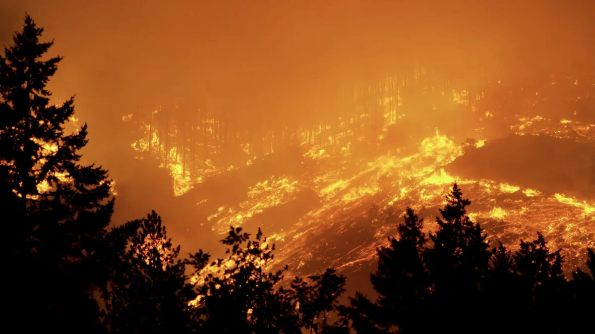 The Hidden Arsonist in Your Driveway: Why Vehicles Are a Leading Cause of Wildfires