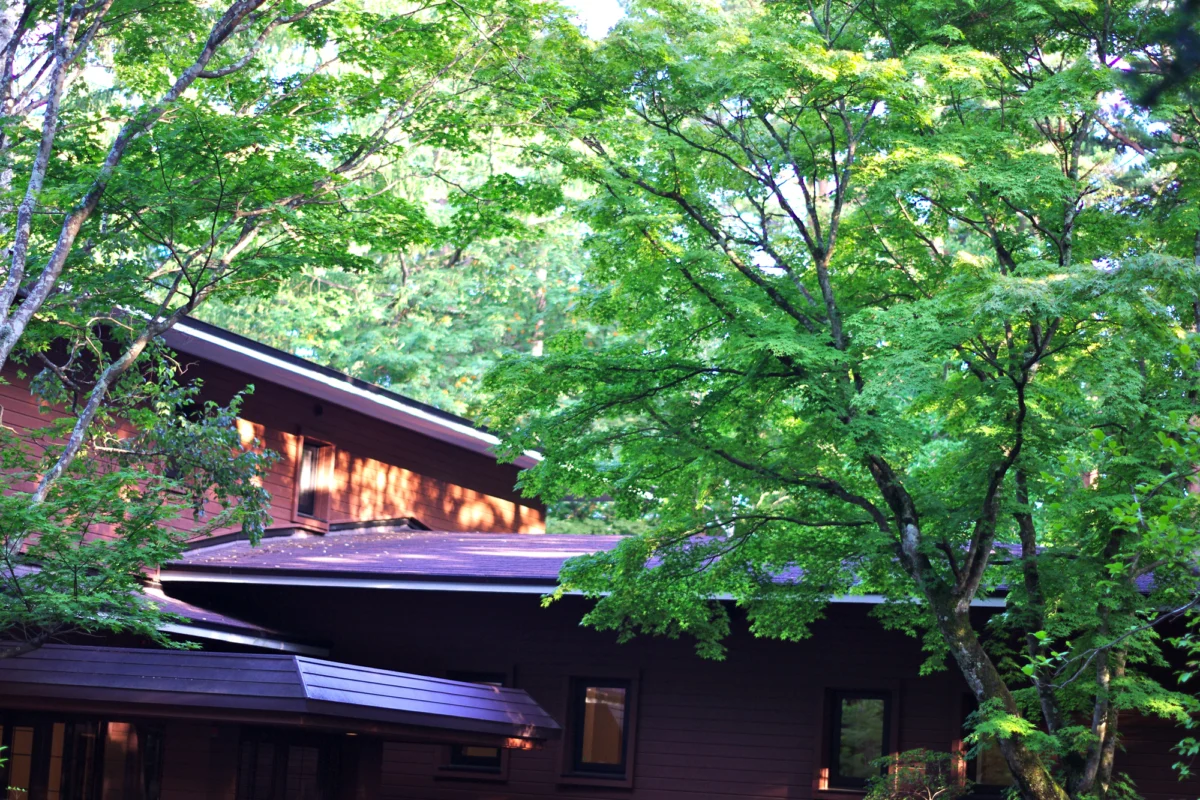 The Highland Escape: Why Japanese Travelers Are Fleeing the Heat for Hisho-chi