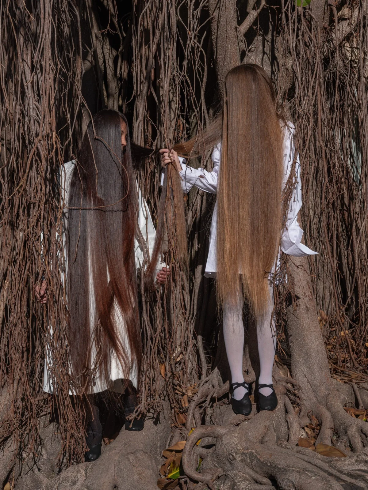 The Living Tapestry: How Irina Werning’s ‘Las Pelilargas’ Chronicles the Soul of Latin America