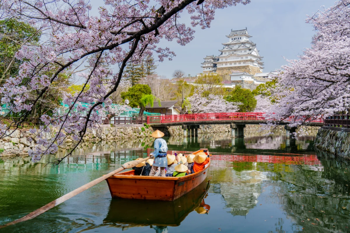 The Price of Preservation: Japan Navigates the Controversial Rise of Dual Pricing