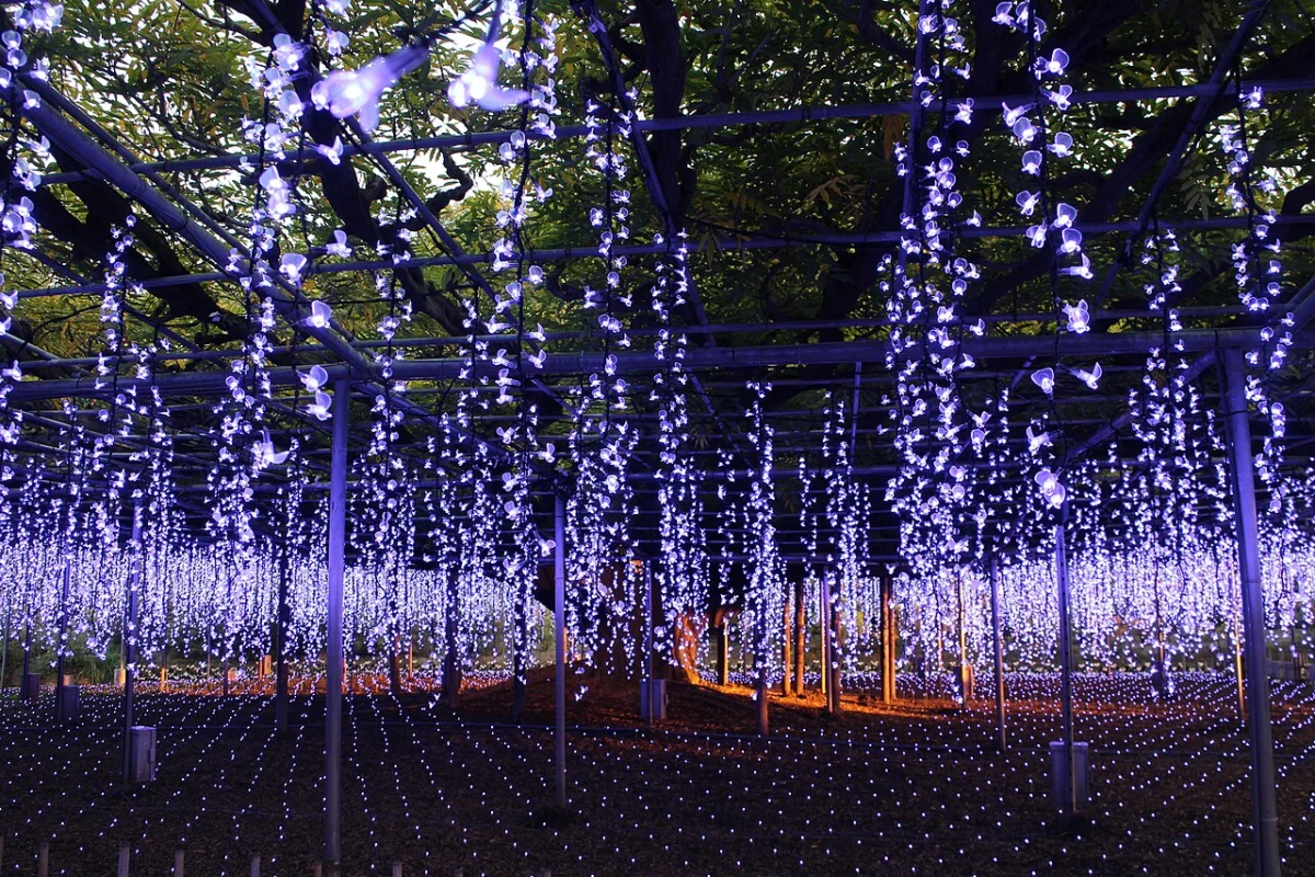 The Unassuming Charm of the Sakasagawa: A Deep Dive into Ashikaga’s “Backward-Flowing” River
