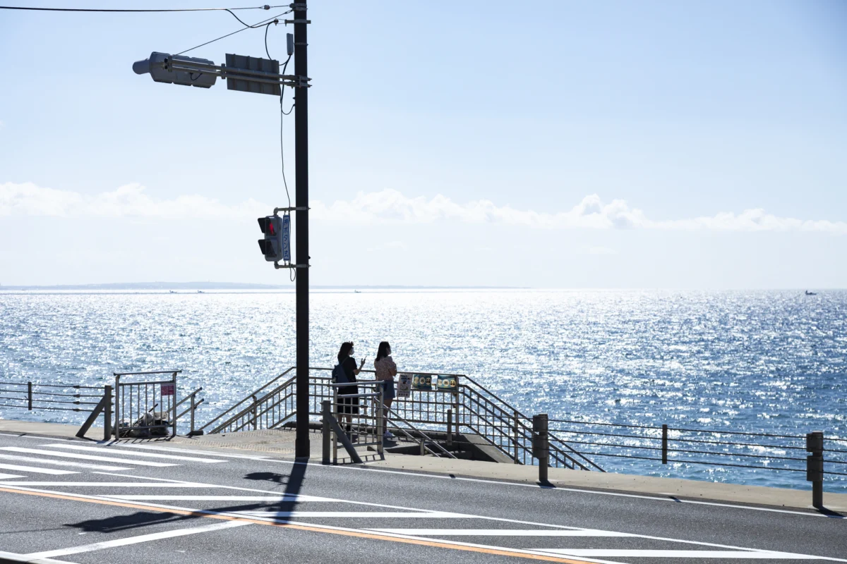 The "Utility Pole" Narrative: How Japanese Media is Weaponizing Language Against Women in the Marriage Crisis