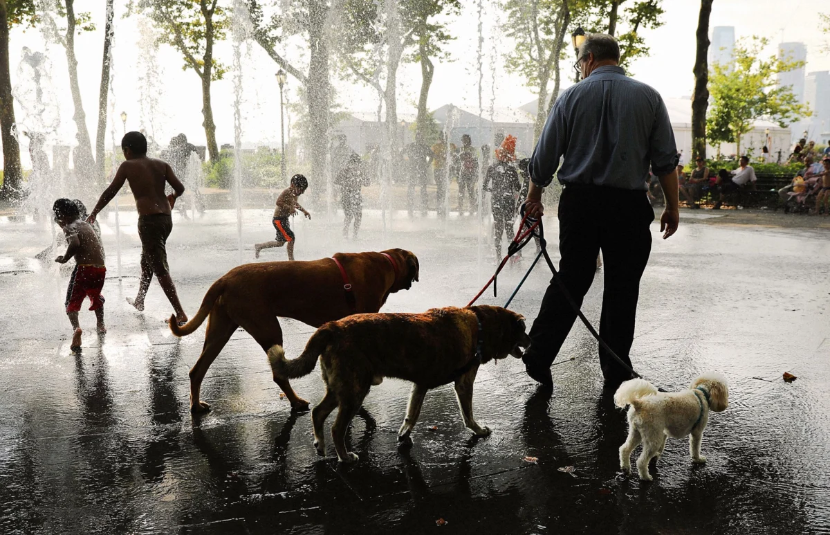 A Sweltering Standoff: The Eastern US Braces for Dangerous, Humidity-Fueled Heatwave
