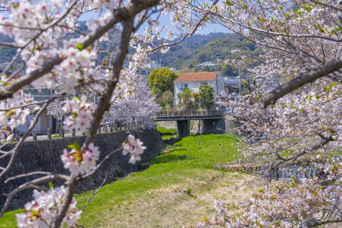 Beyond the Commuter Rail: Unveiling the Refined Elegance of Ashiya