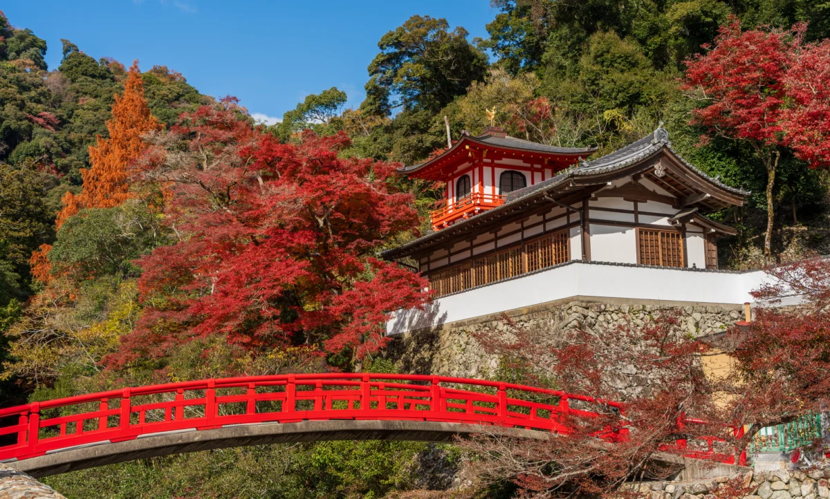 Beyond the Neon: Discovering the Hidden Forest Sanctuary of Minoh, Osaka