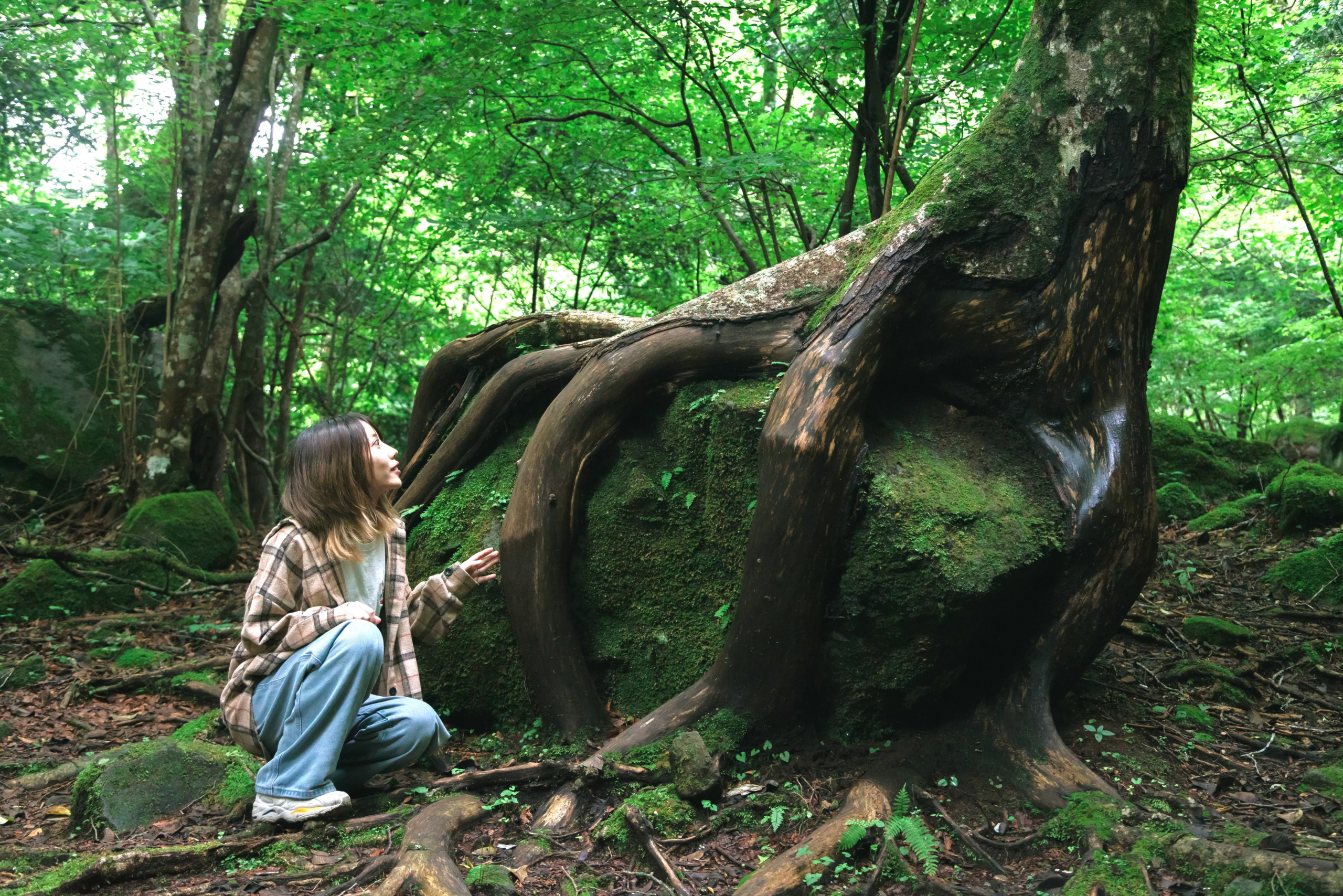 Beyond the Tourist Trail: An Immersive Summer Escape to Yufuin’s Hidden Natural Wonders