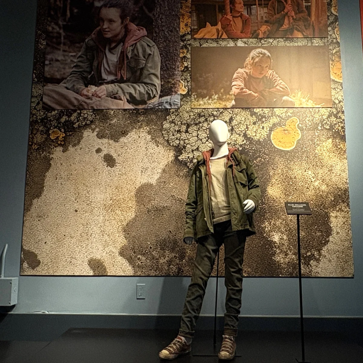 Celebrating Visibility: Warner Bros. Studio Tour Hollywood Unveils Landmark LGBTQ+ Exhibit for Pride Month
