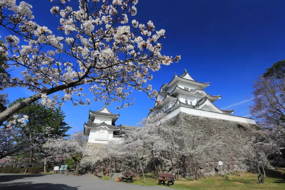Discovering Mie: The Hidden Jewel of Central Japan – A Comprehensive Travel Guide