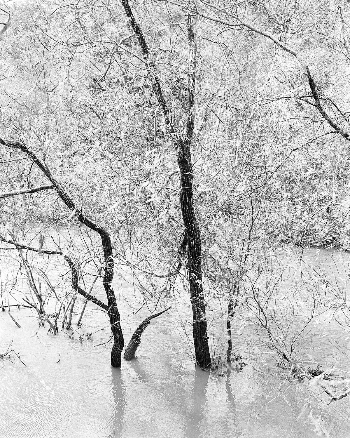 Echoes of the Golden State: Benjamin Young’s "Eternal Return" Captures the Ghostly Familiarity of Northern California