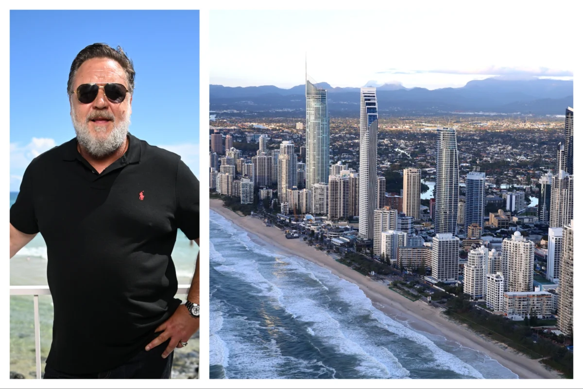 From California to the Gold Coast: The Strategic Evolution of ‘Bear Country’