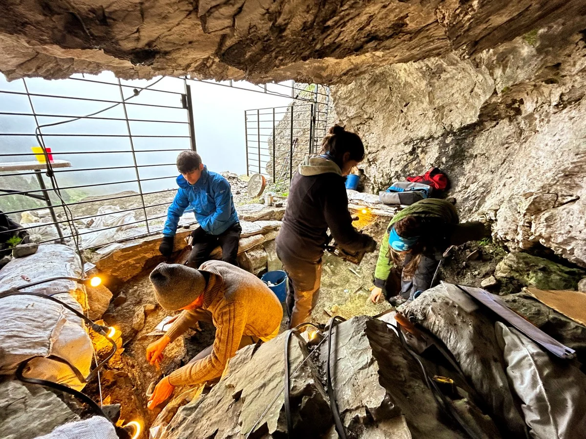 Science’s Hidden Gems: A Deep Dive into May’s Most Intriguing Discoveries