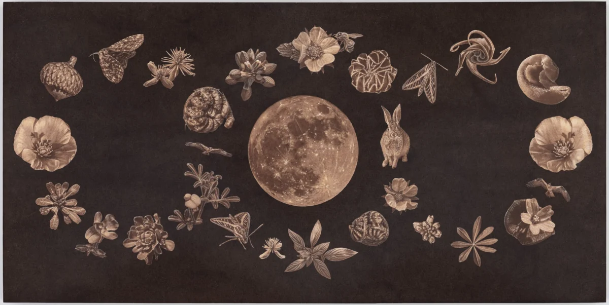 The Alchemical Landscapes of Annalise Neil: Weaving Memory, Nature, and Cyanotype