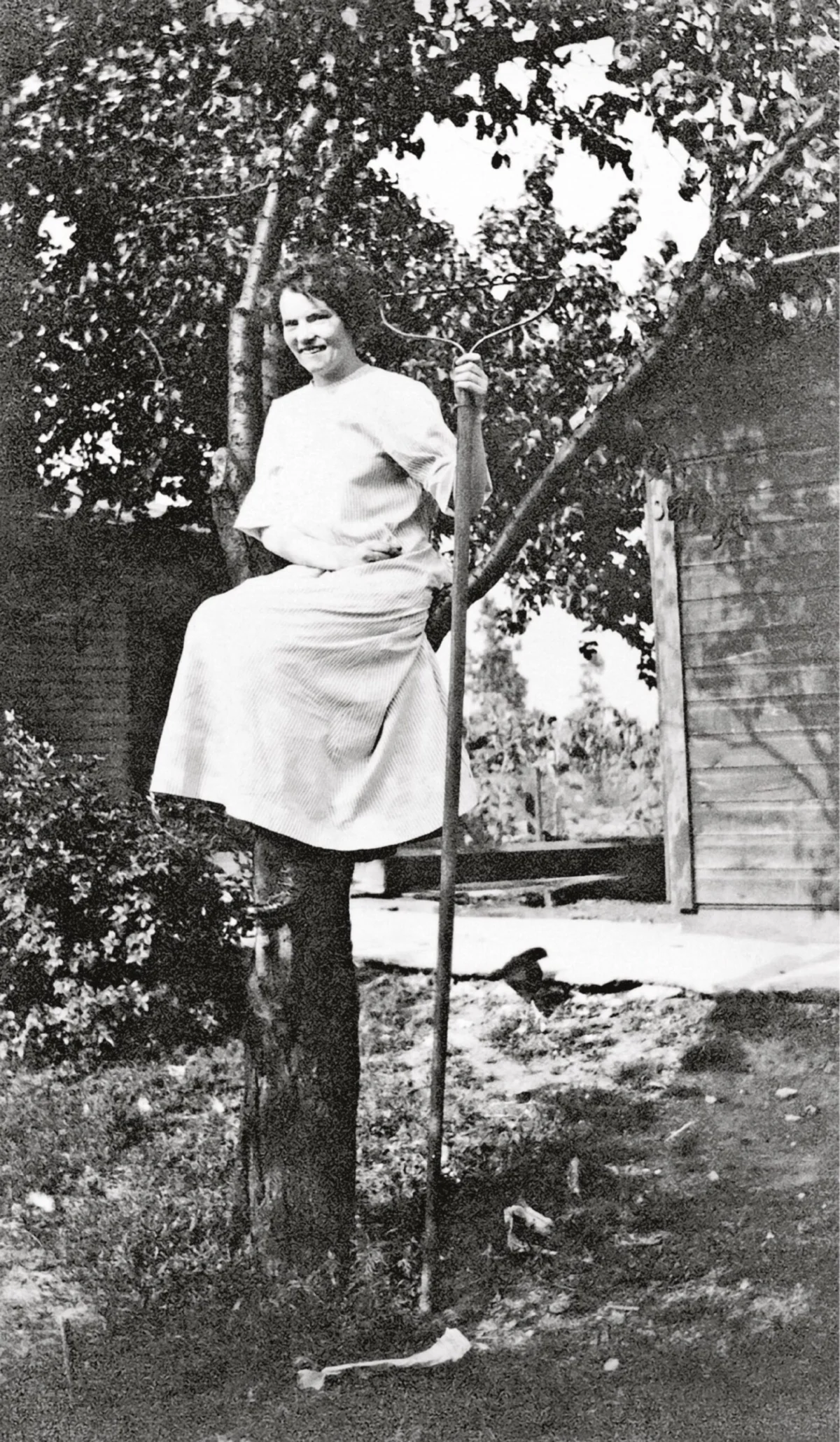 The Arboreal Enigma: Unraveling the Mystery of the “Women in Trees” Photography Phenomenon