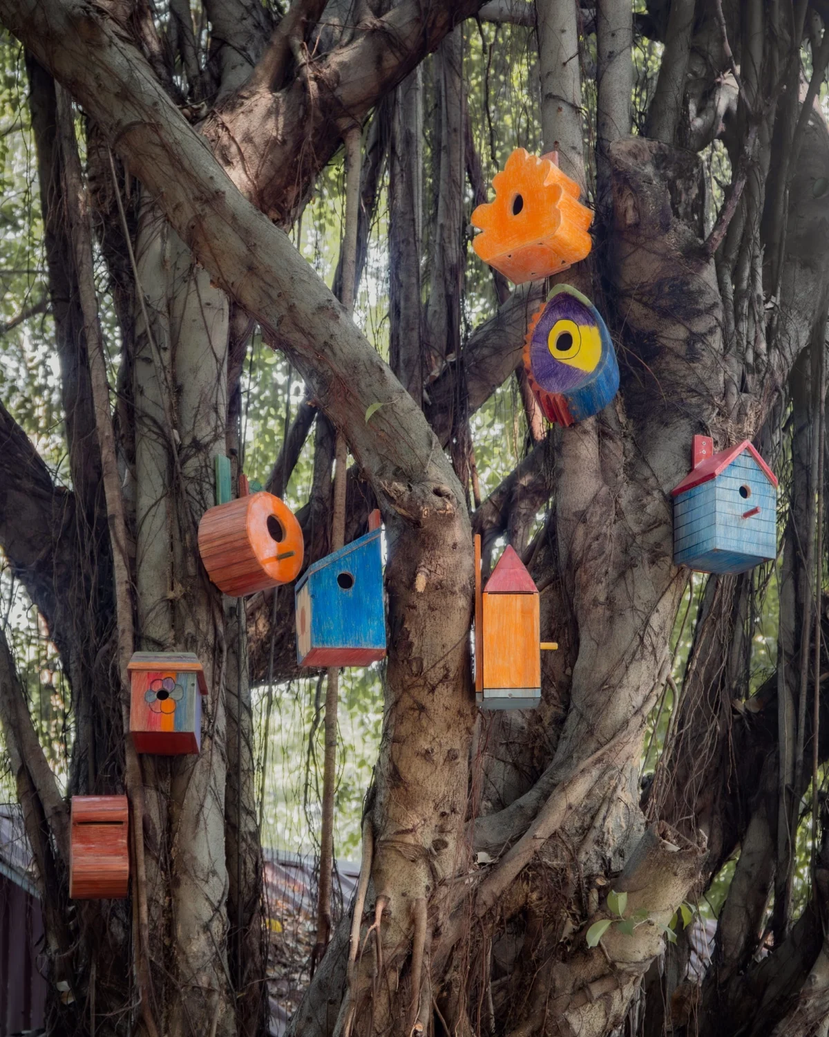 The Architecture of Play: How Taekhan Yun is Empowering Children to Redesign Their World