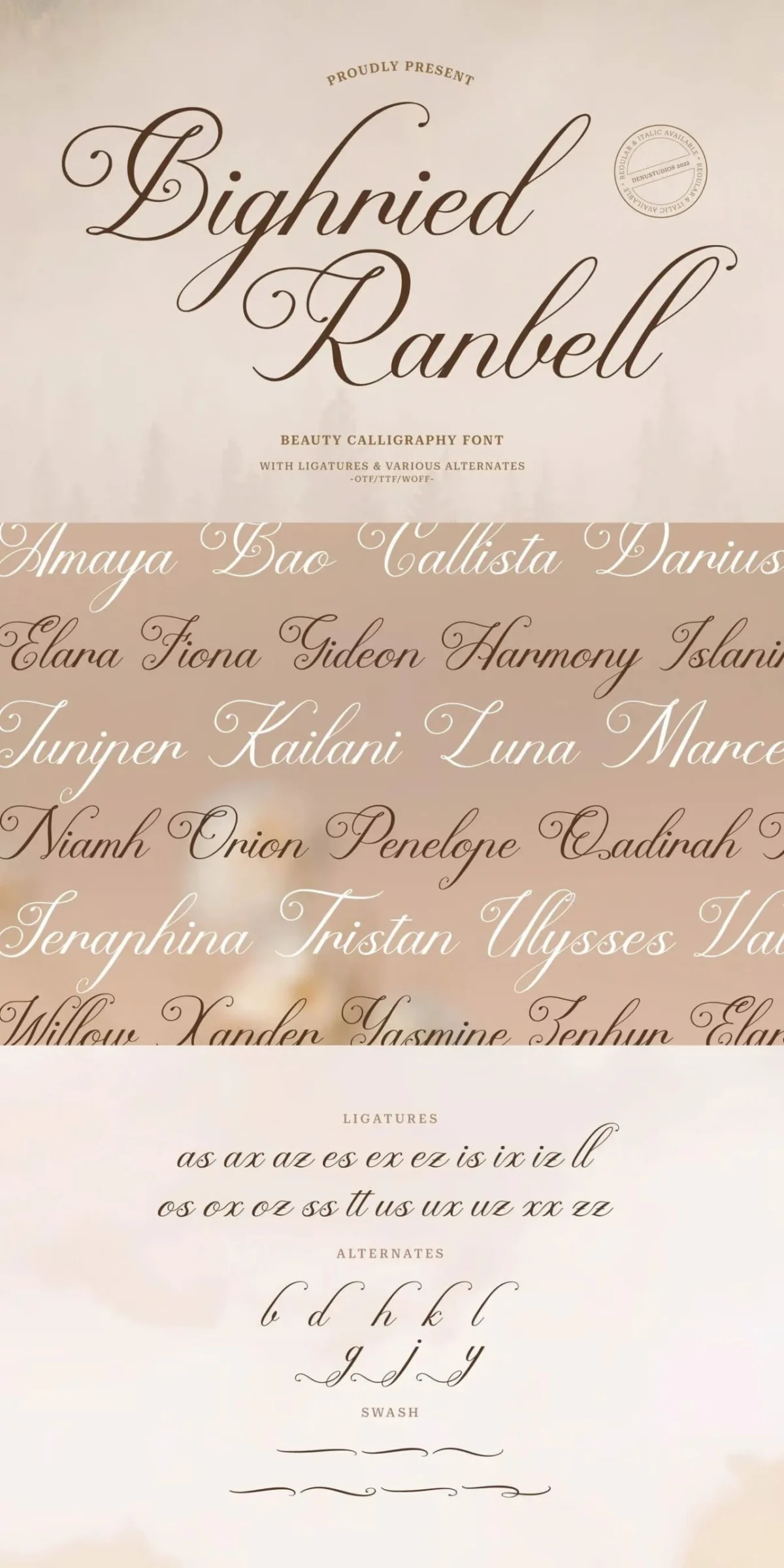 The Art of the Personal Touch: Why Modern Script Fonts Are Defining the Aesthetic of 2025