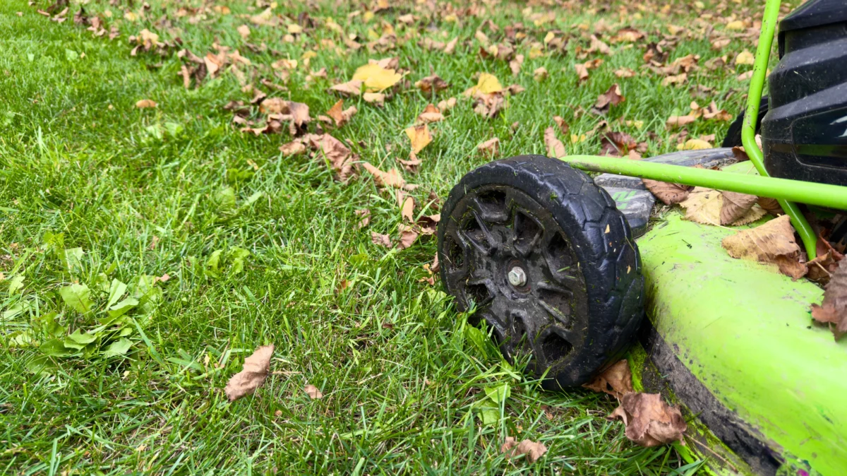 The Autumn Dilemma: Mastering the Art of Leaf Mulching for a Healthier Lawn