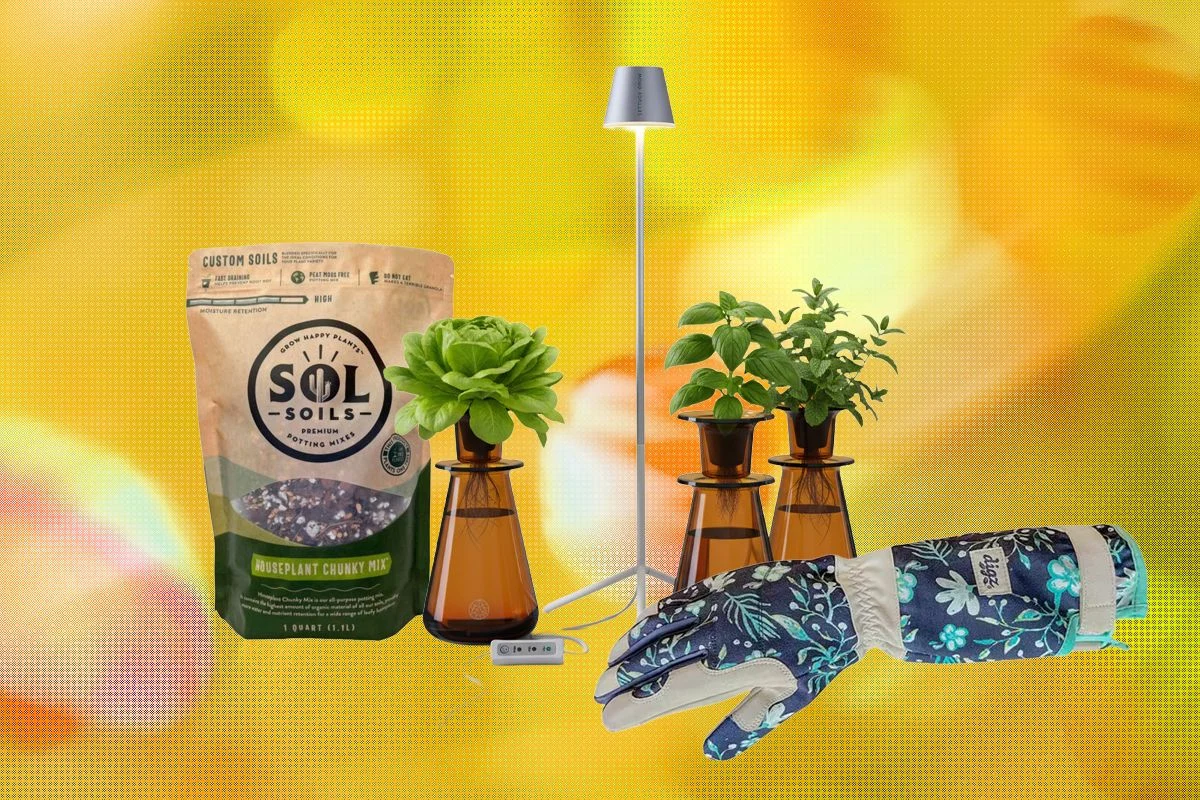 The Curator’s Guide: 19 Essential Gifts for Plant Lovers and Gardeners