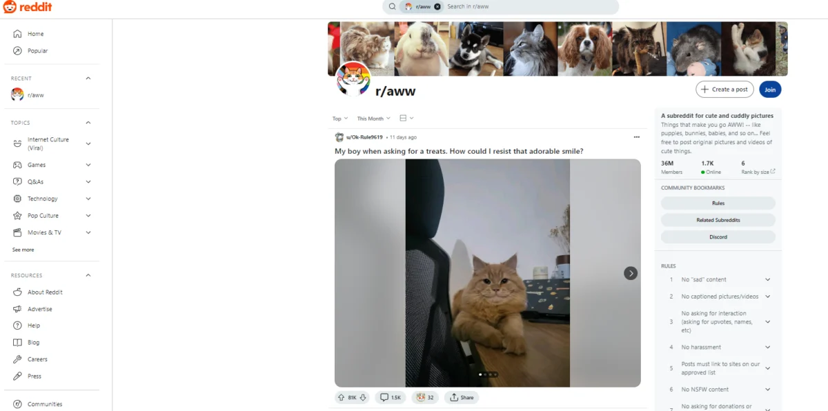 The Digital Frontline: Why Reddit Has Become the Ultimate Intelligence Engine for Modern Brands