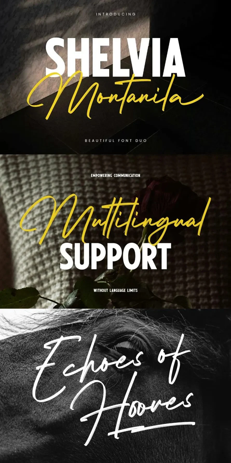 The Evolution of Visual Hierarchy: The 30 Best Poster Fonts Defining 2026