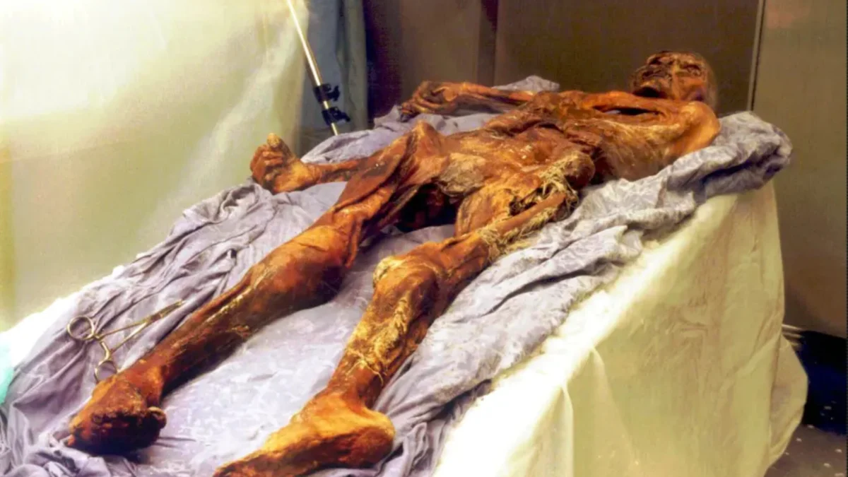 The Frozen Time Capsule: Scientists Uncover Ancient Biological Secrets Within Ötzi the Iceman