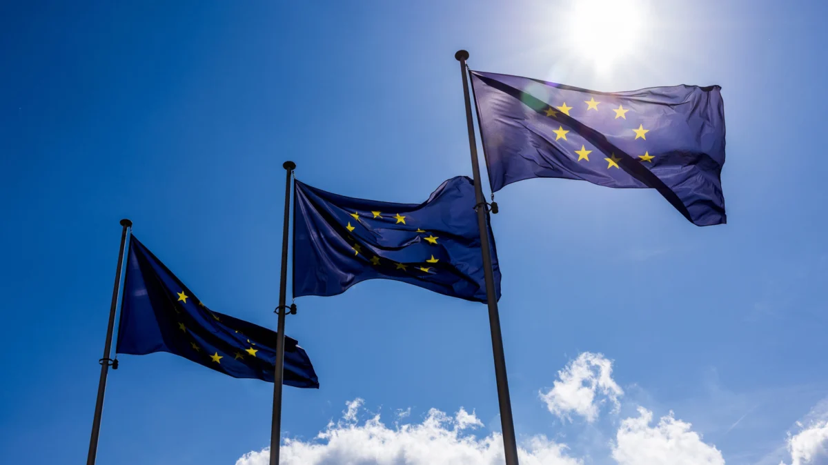 The Future of Digital Ownership: EU Rejects Mandatory Game Preservation Laws in Favor of Voluntary Codes