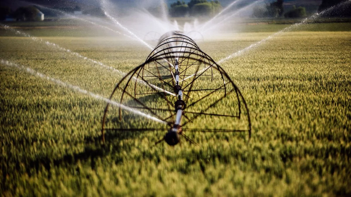The Growing Thirst of AI: Data Centers Face a Reckoning Over Water Scarcity