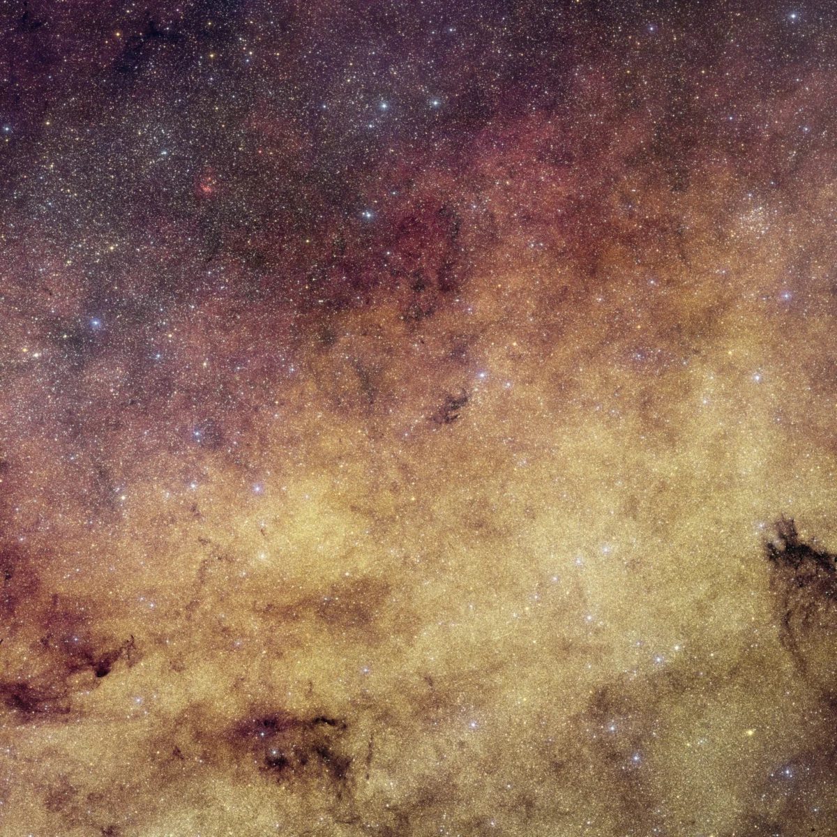 The Heart of the Galaxy: Euclid’s Unprecedented Portrait of the Milky Way’s Crowded Center