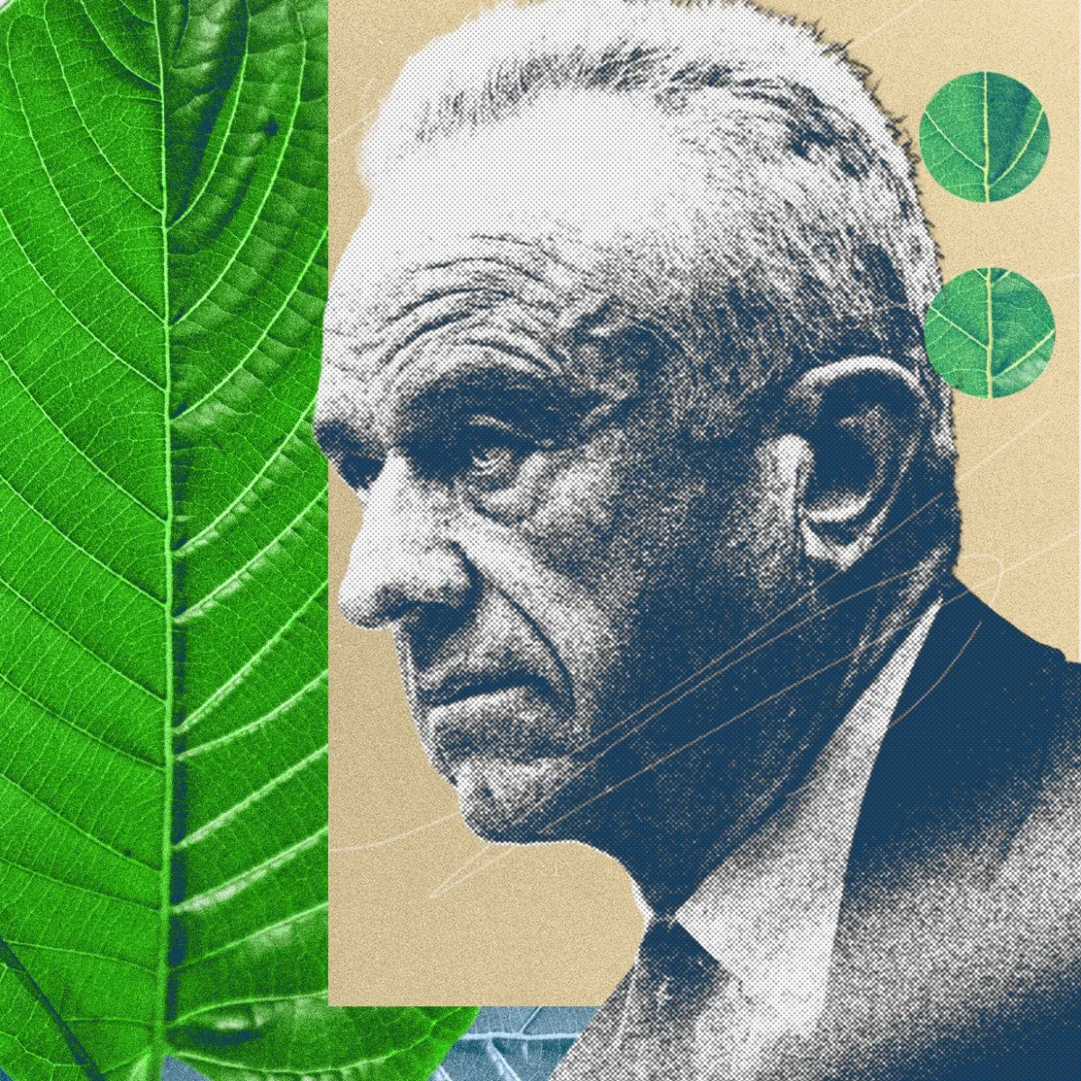 The Opioid Paradox: How a Natural Remedy Spawned a Synthetic Crisis