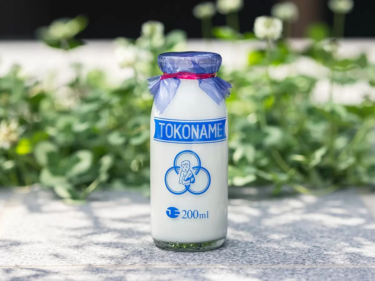 The Pure White Legacy: Exploring the Timeless Charm of Tokoname Milk