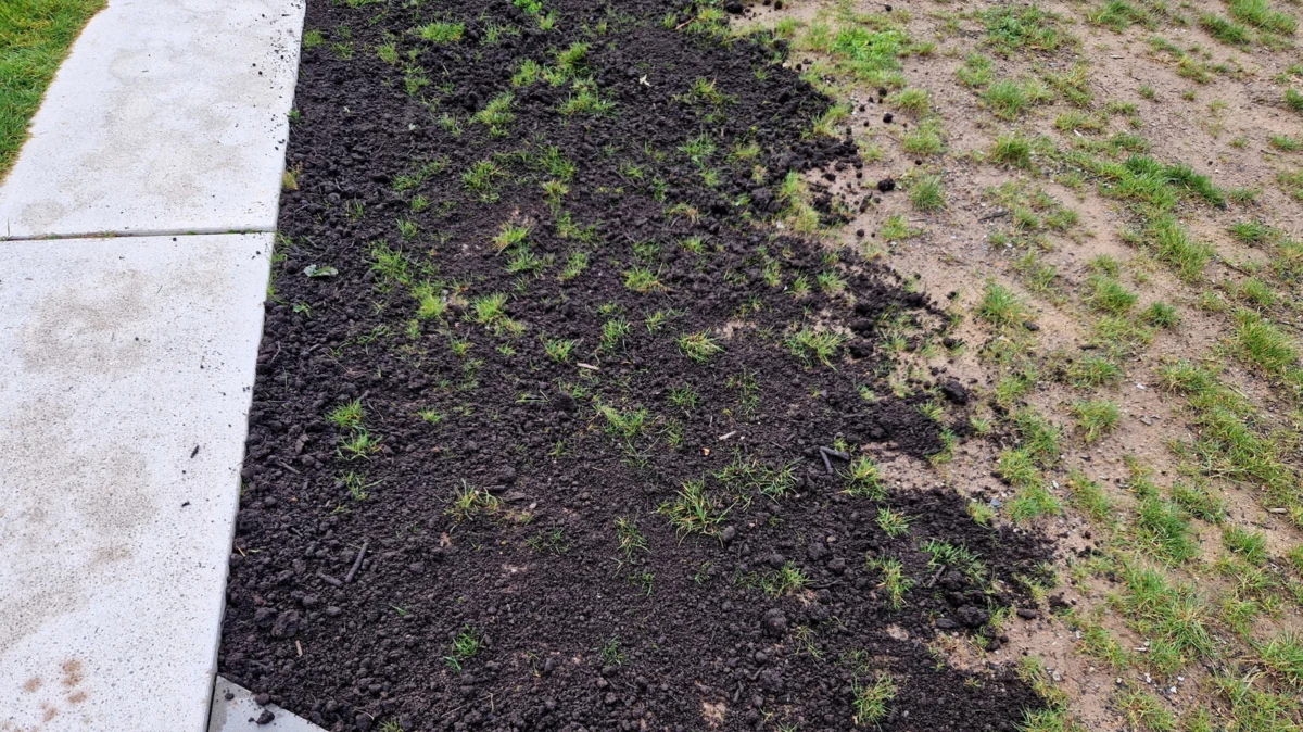 The Secret to a Professional-Grade Lawn: Mastering the Art of Soil Leveling on a Budget