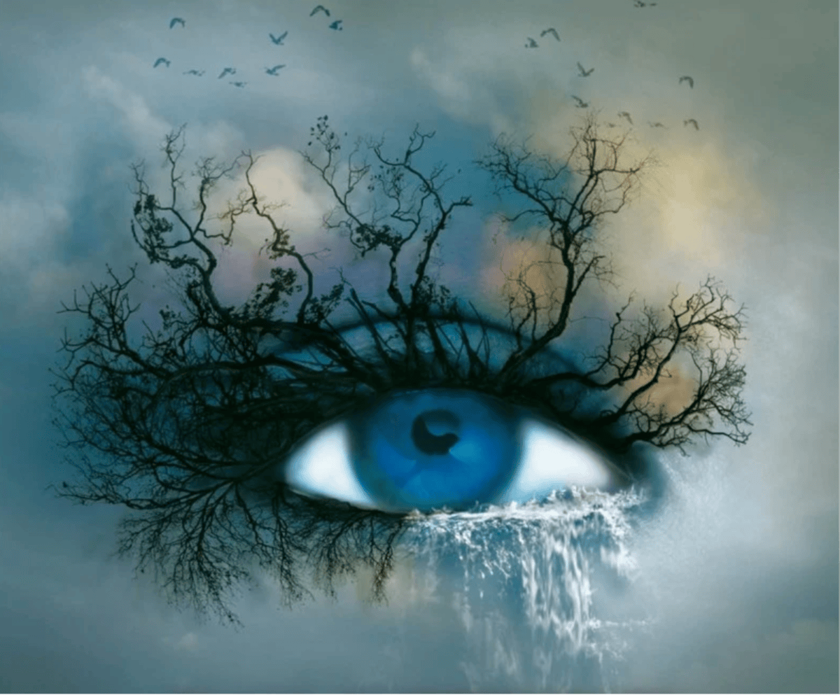The Shatter Me Phenomenon: Warner Bros. Secures Rights to Tahereh Mafi’s Dystopian Epic