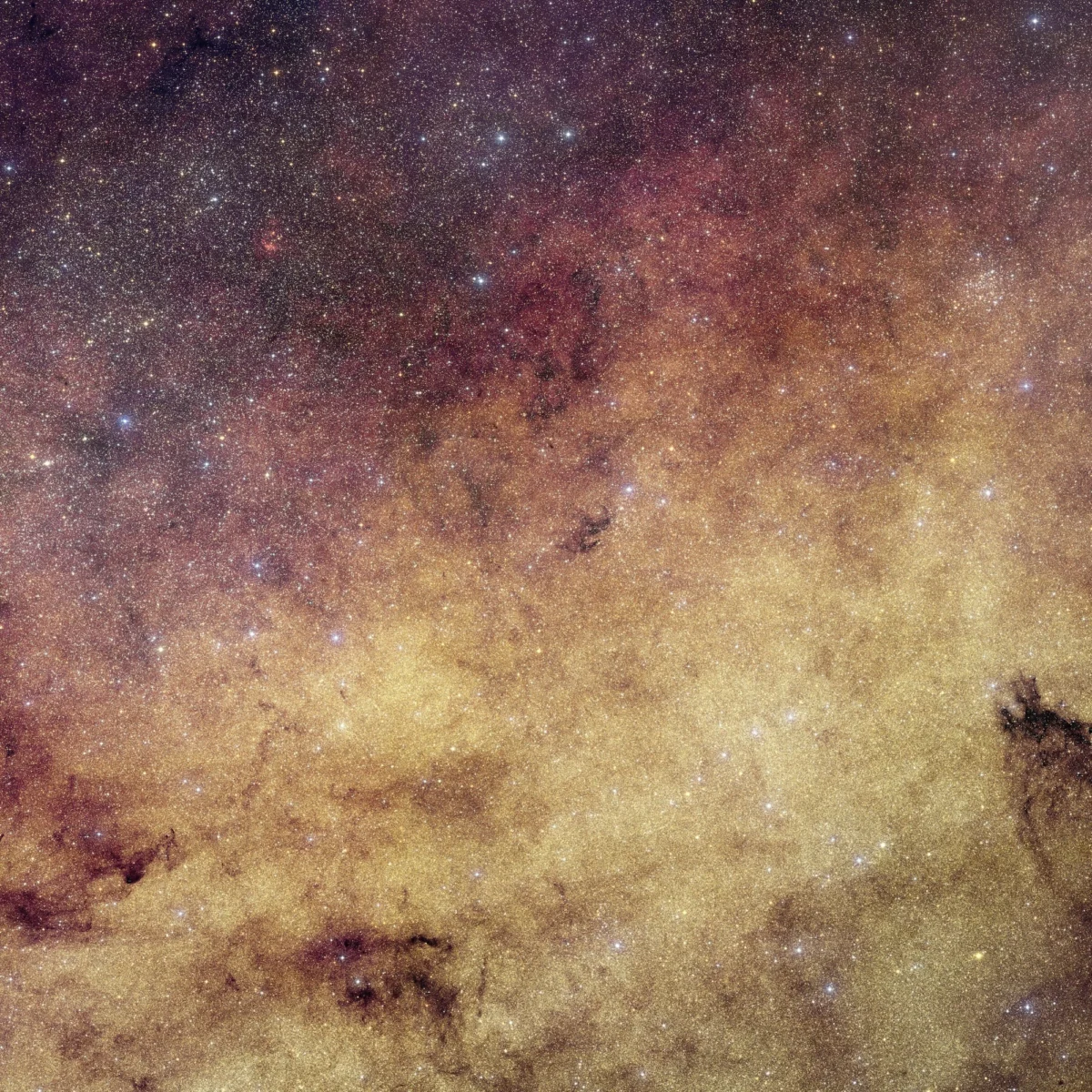 Unveiling the Heart of the Galaxy: Euclid’s Unprecedented Peek into the Milky Way