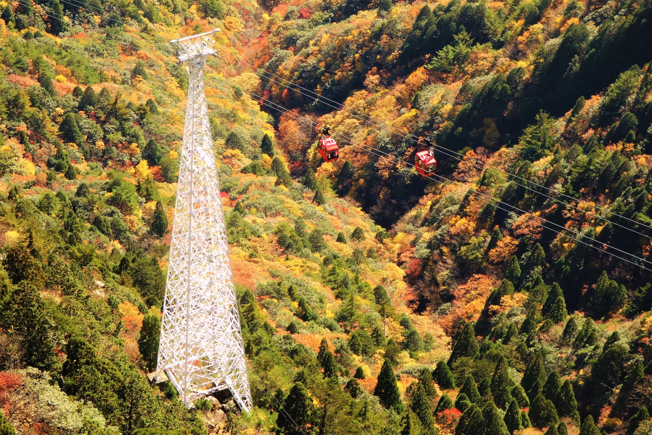 Autumn Ascendance: A Comprehensive Guide to the Seasonal Splendor of Mt. Gozaisho
