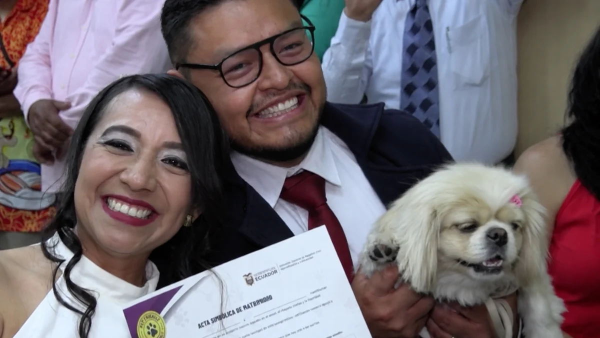 Beyond “I Do”: How Ecuador’s Love Affair with Pets is Redefining the Modern Wedding