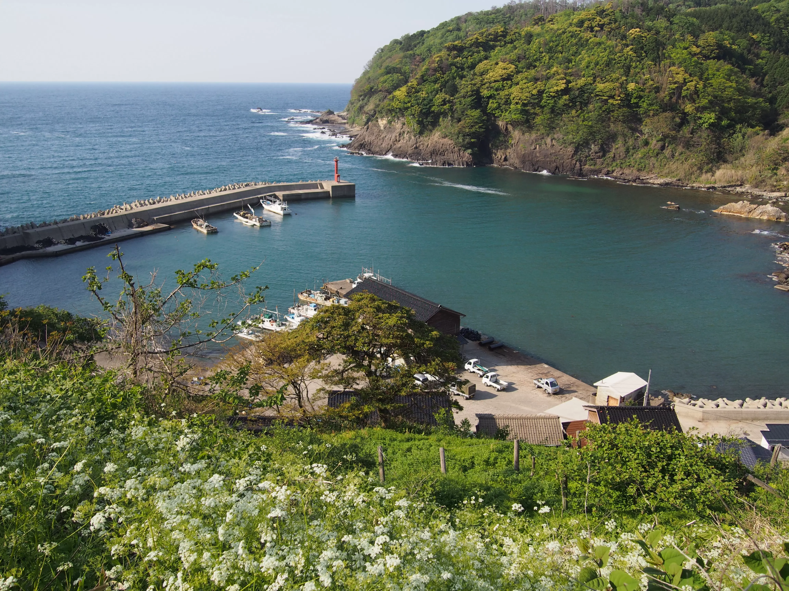 Beyond the Hot Springs: Discovering the Hidden Coastal Splendor of Kasumi
