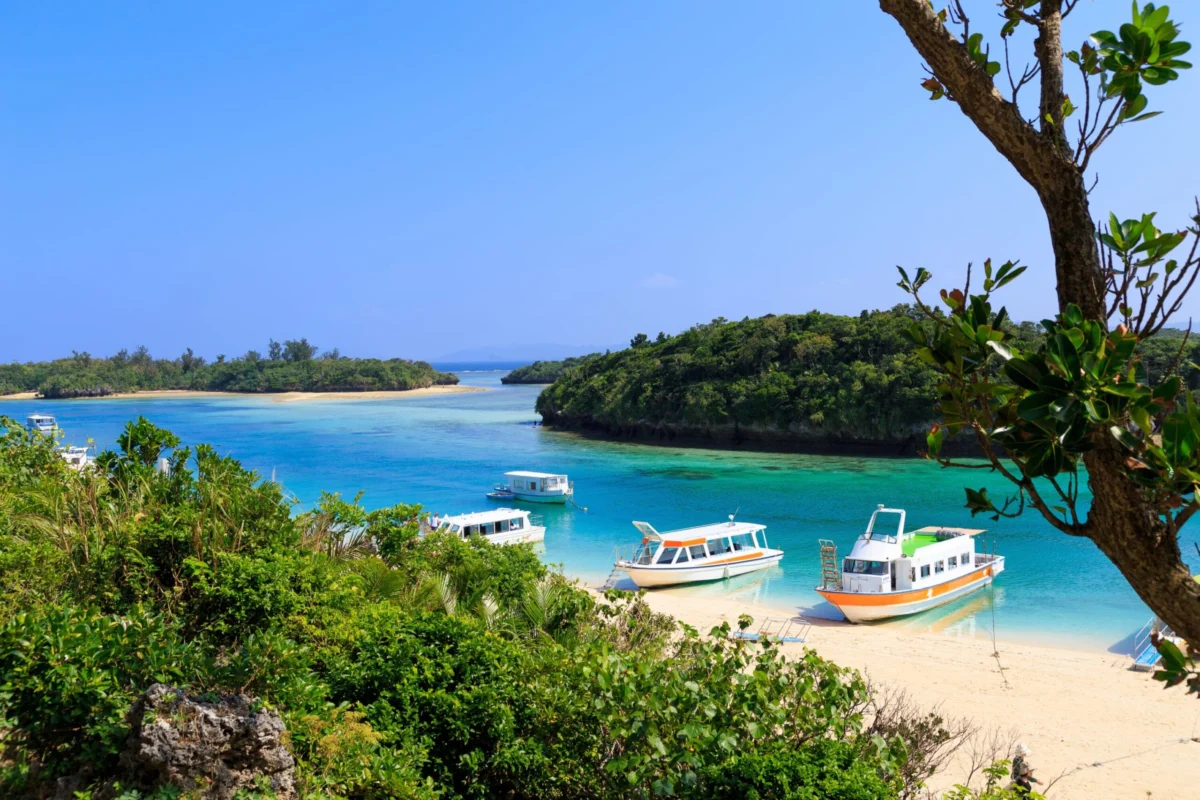 Beyond the Shrines: A Comprehensive Guide to Japan’s World-Class Coastline