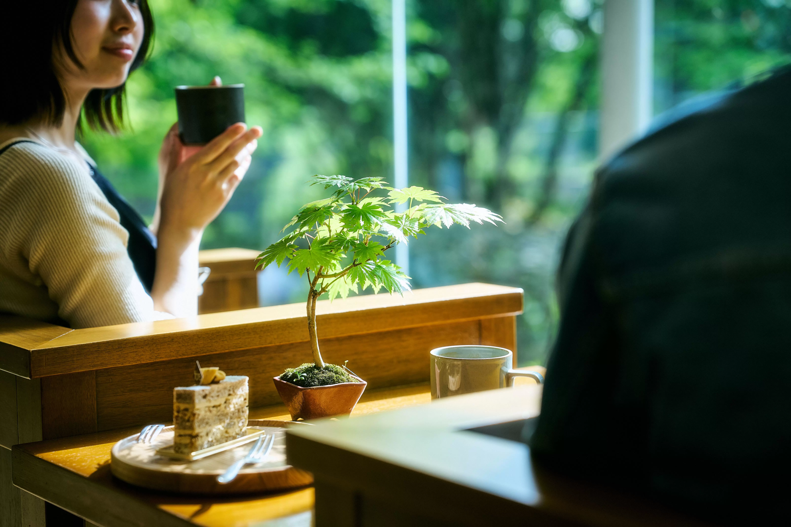 Cultivating Stillness: Hakone Retreat Launches Immersive "Living Art" Bonsai Experience